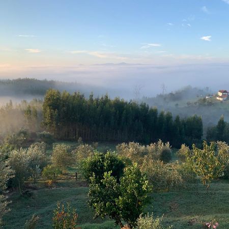 Quinta Lagares Hotel Пенакова Екстериор снимка